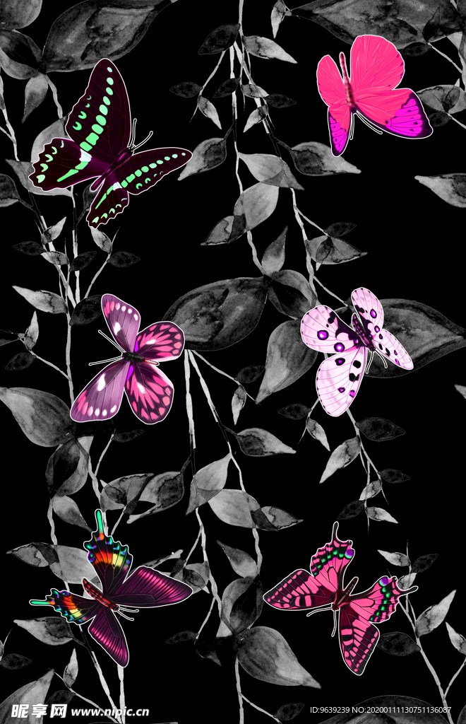 蝴蝶在黑色植物上