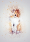 苏格兰牧羊犬水墨