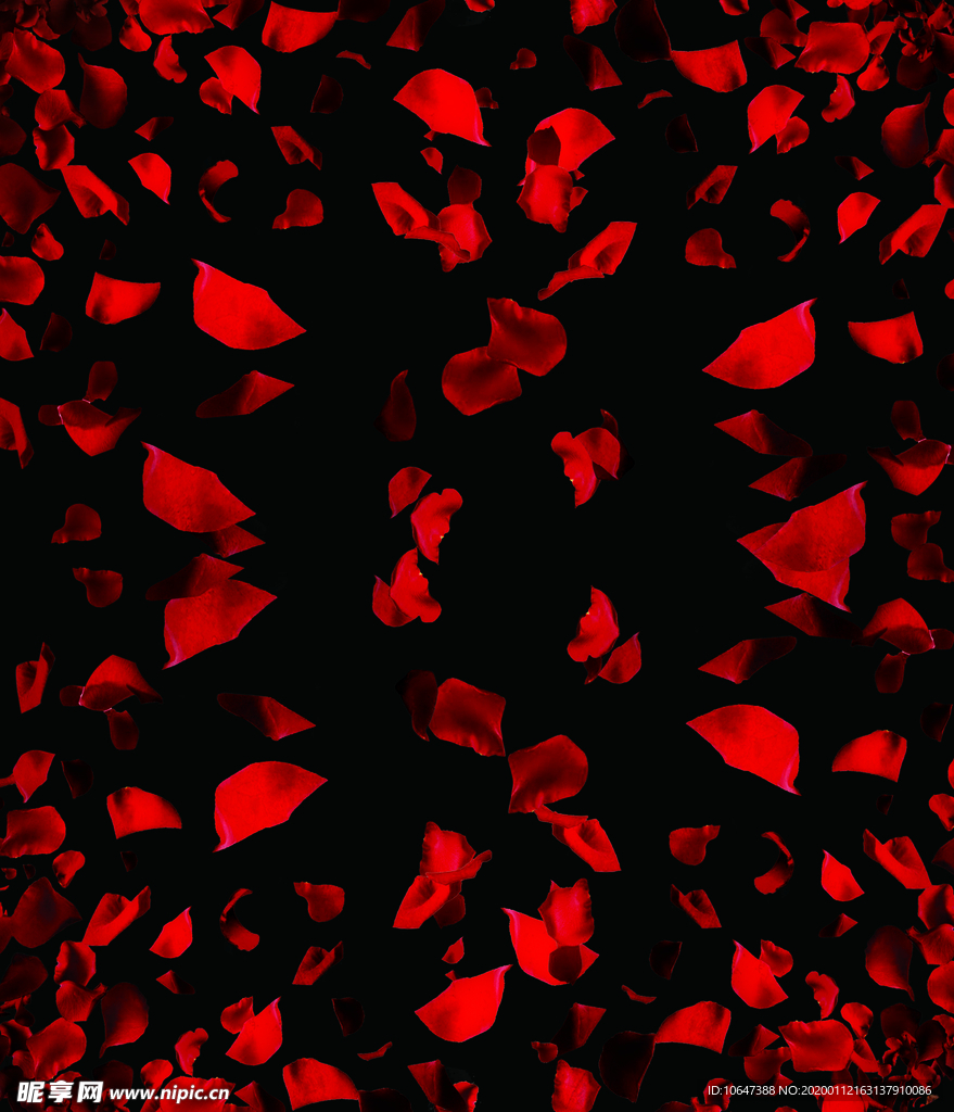 玫瑰花瓣
