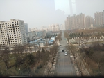 西安浐灞  高楼 树木 城市