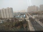 西安浐灞  高楼 树木 城市