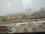 西安浐灞  高楼 树木 城市