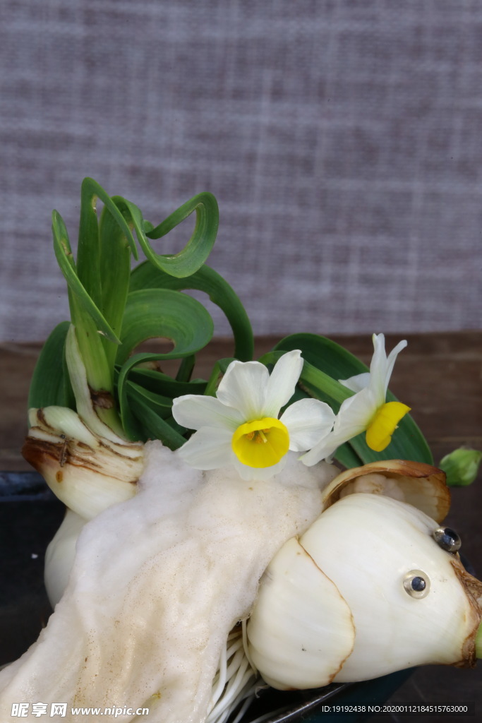 水仙花