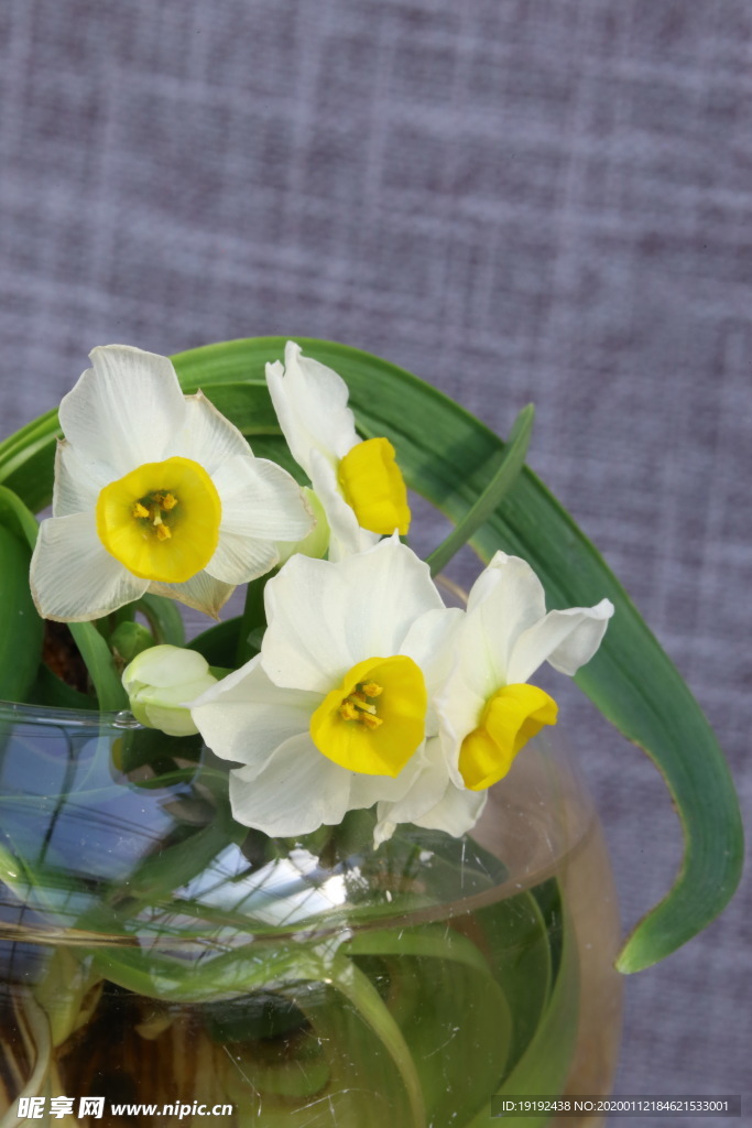 水仙花