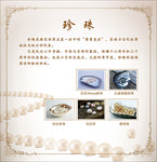 珍珠展板