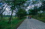 林间小路