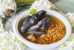 从草花炖乌鸡