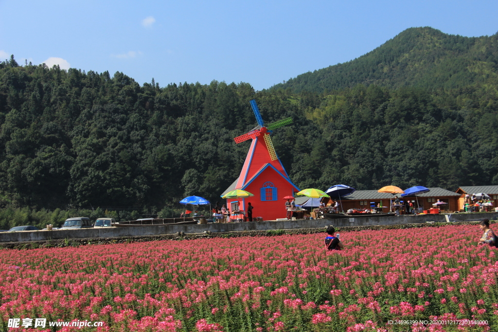 山下的红色花园