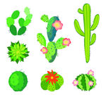 绿色仙人掌开花盆栽植物