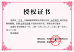 企业公司个人授权证书模板