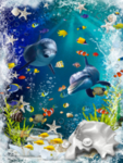 海洋世界