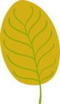 彩绘植物花枝