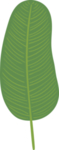 彩绘植物花枝