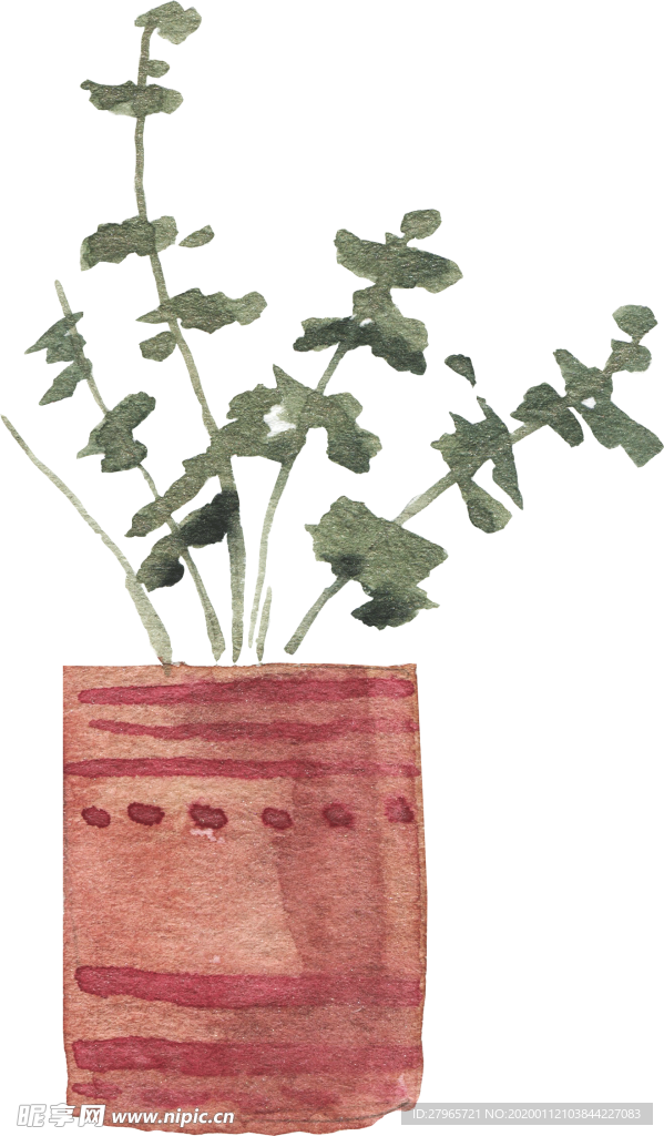 手绘盆栽植物