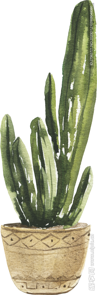 手绘盆栽植物