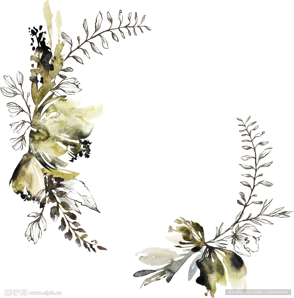 彩绘植物边框