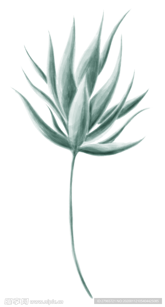 清新手绘植物