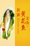 黄花鱼
