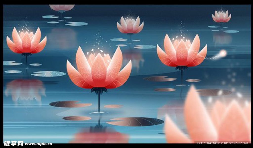 荷花
