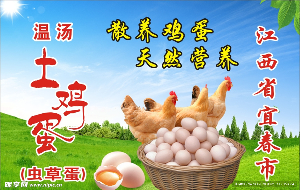 土鸡蛋海报