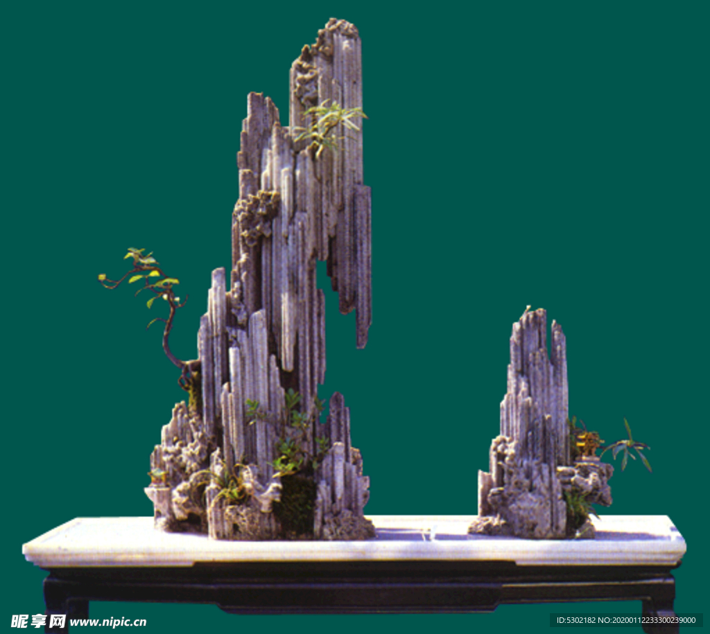 盆景