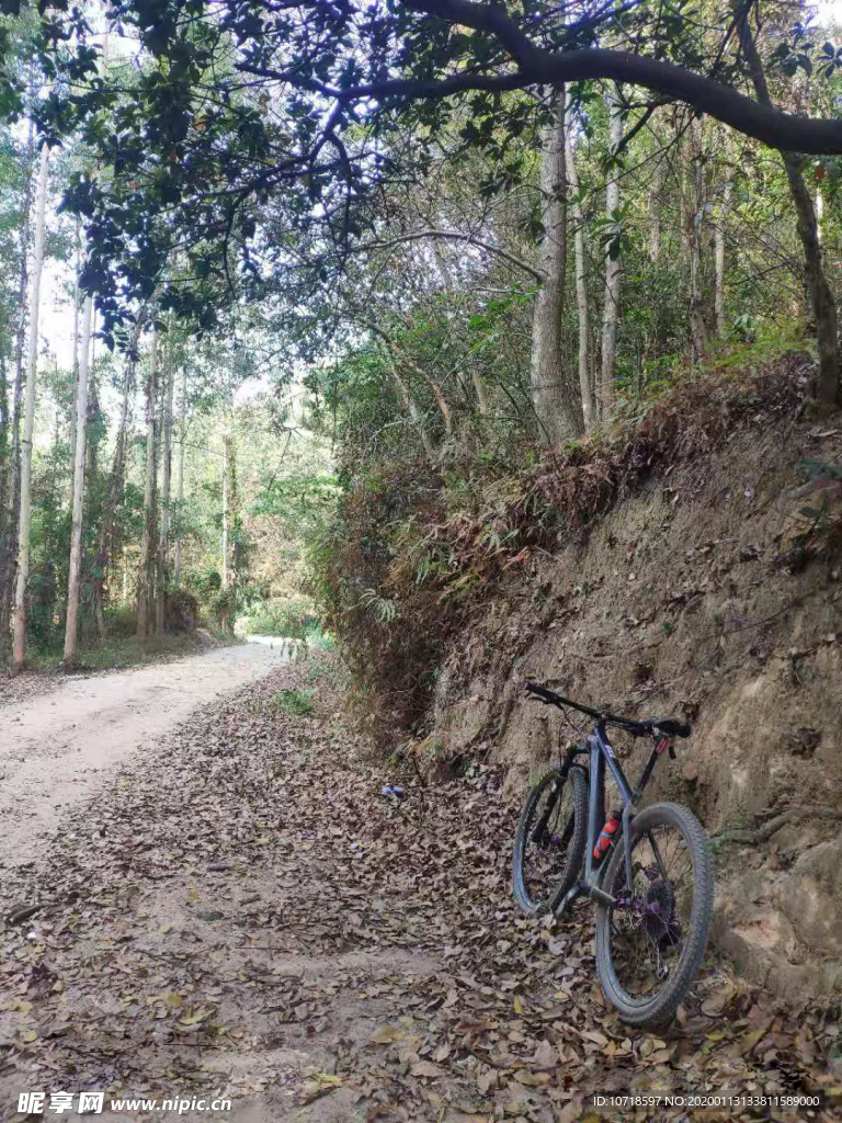 自然风景