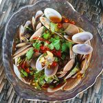 美餐美食