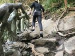 自然风景