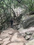 自然风景