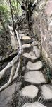 自然风景