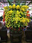 鲜花 花束