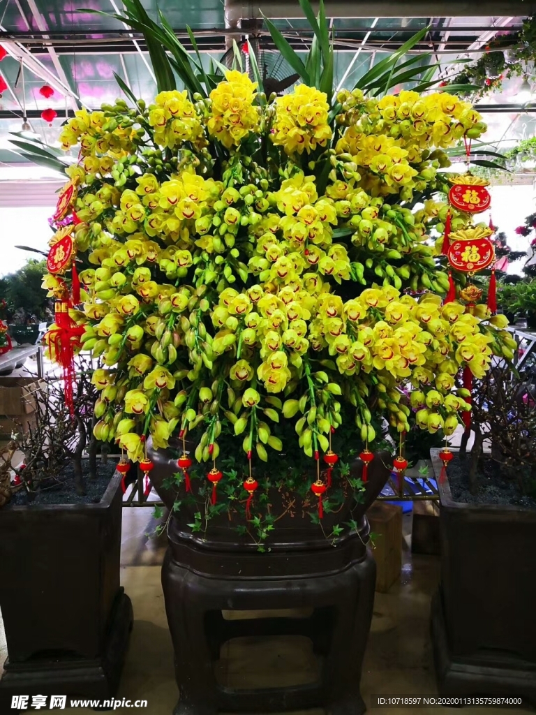 鲜花 花束