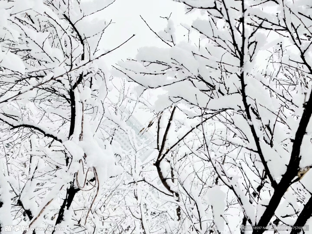 自然风景