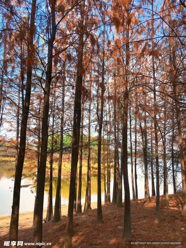自然风景