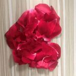 花瓣