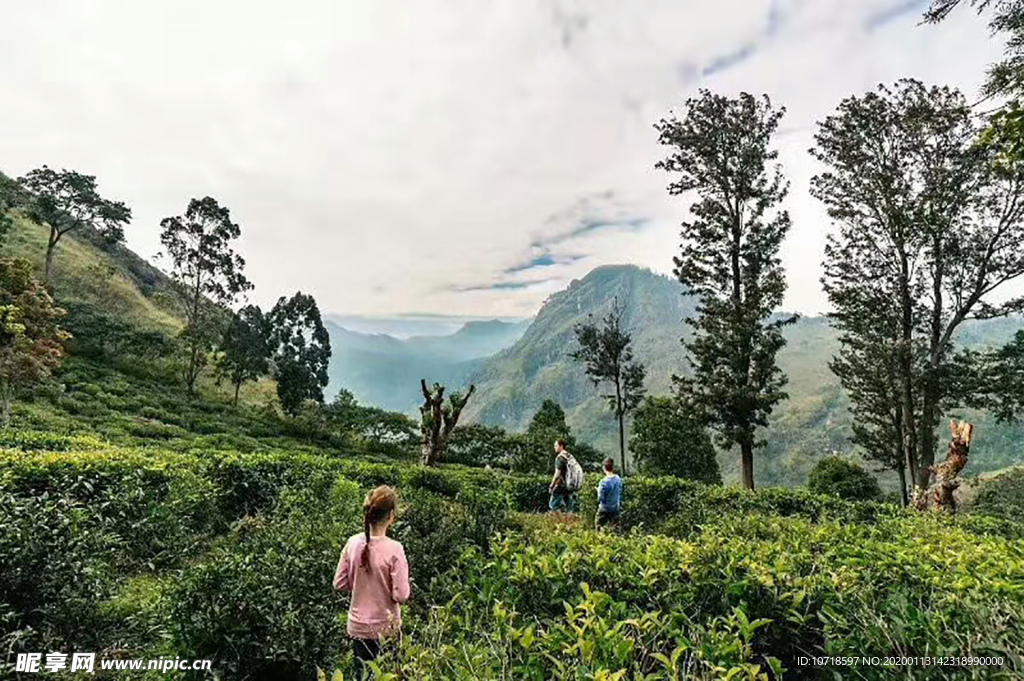 自然风景