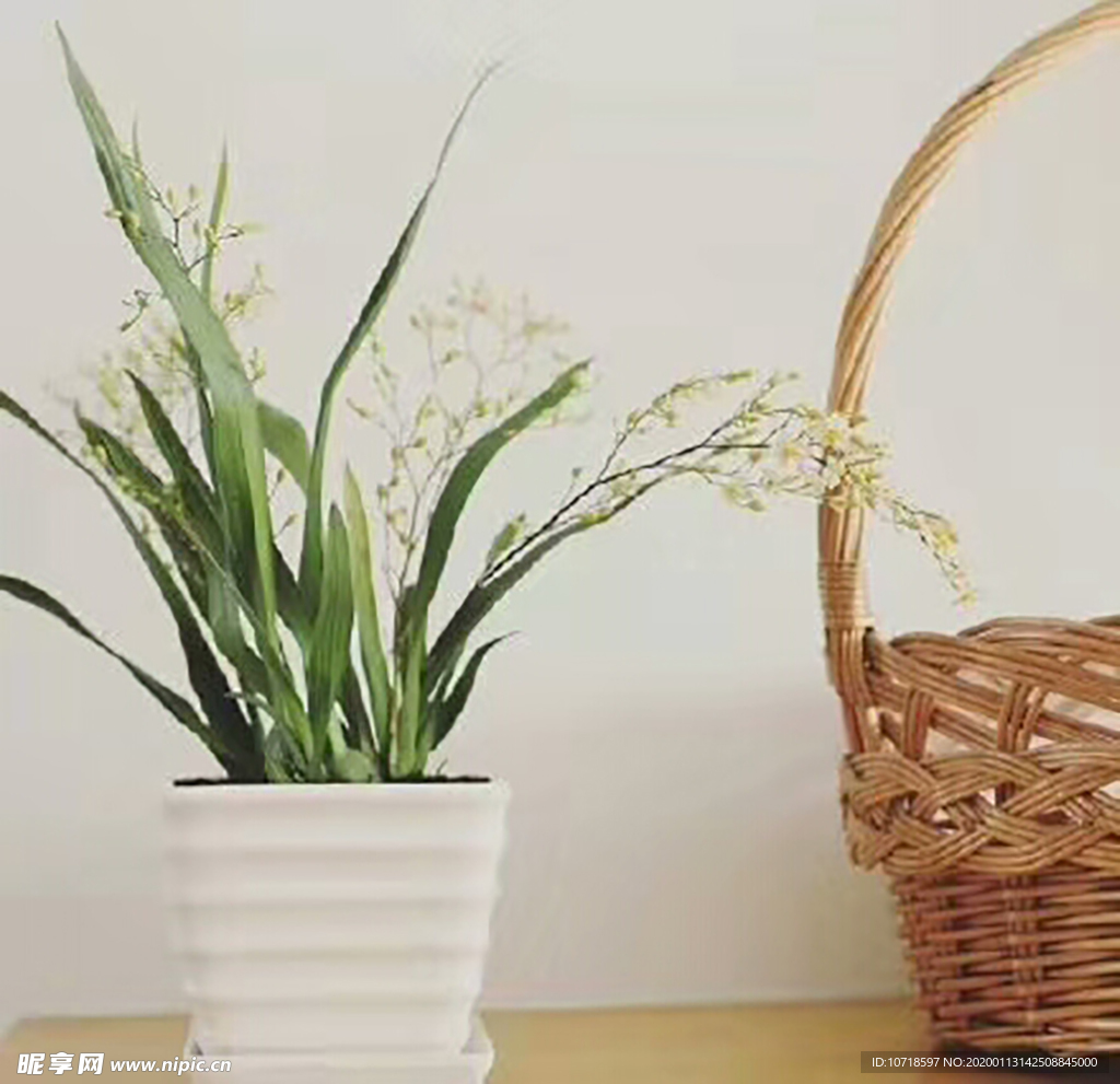 鲜花 花束