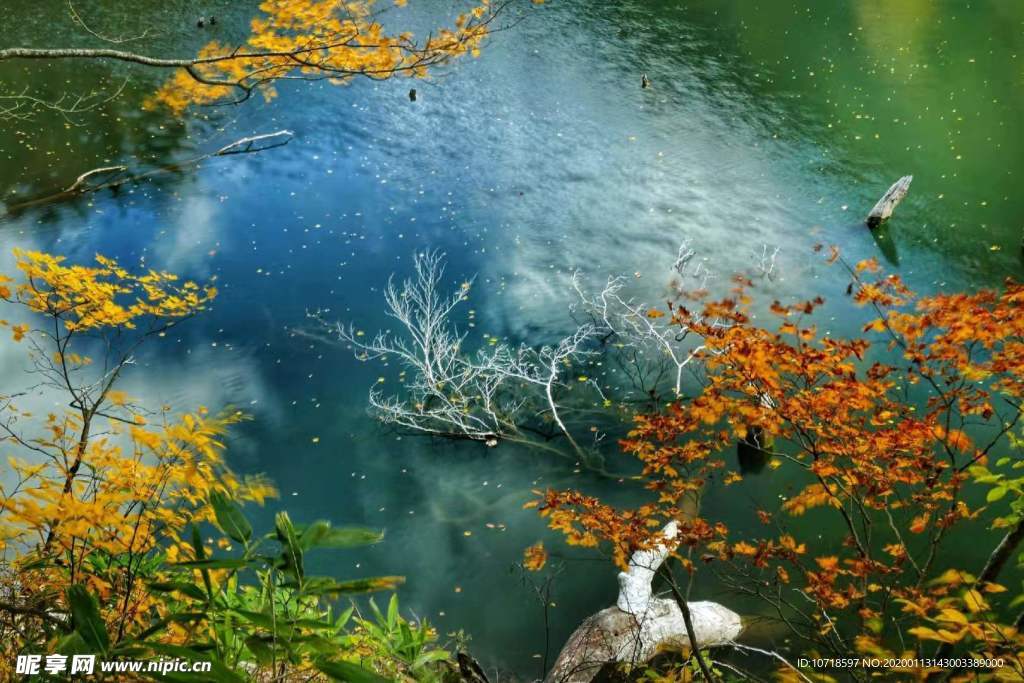 自然风景
