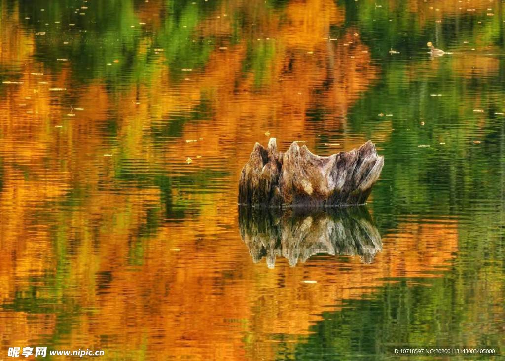 自然风景