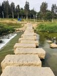 自然风景