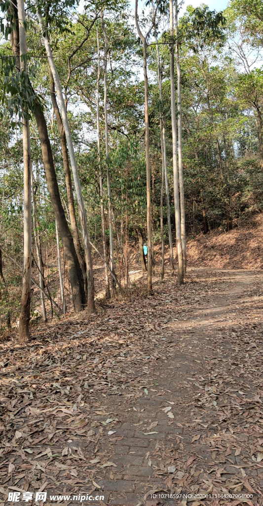 自然风景