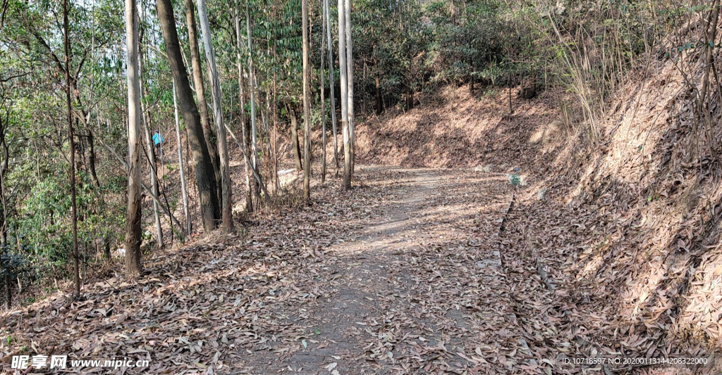 自然风景