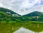 自然风景