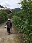 自然风景