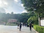 自然风景