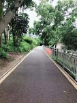 自然美景