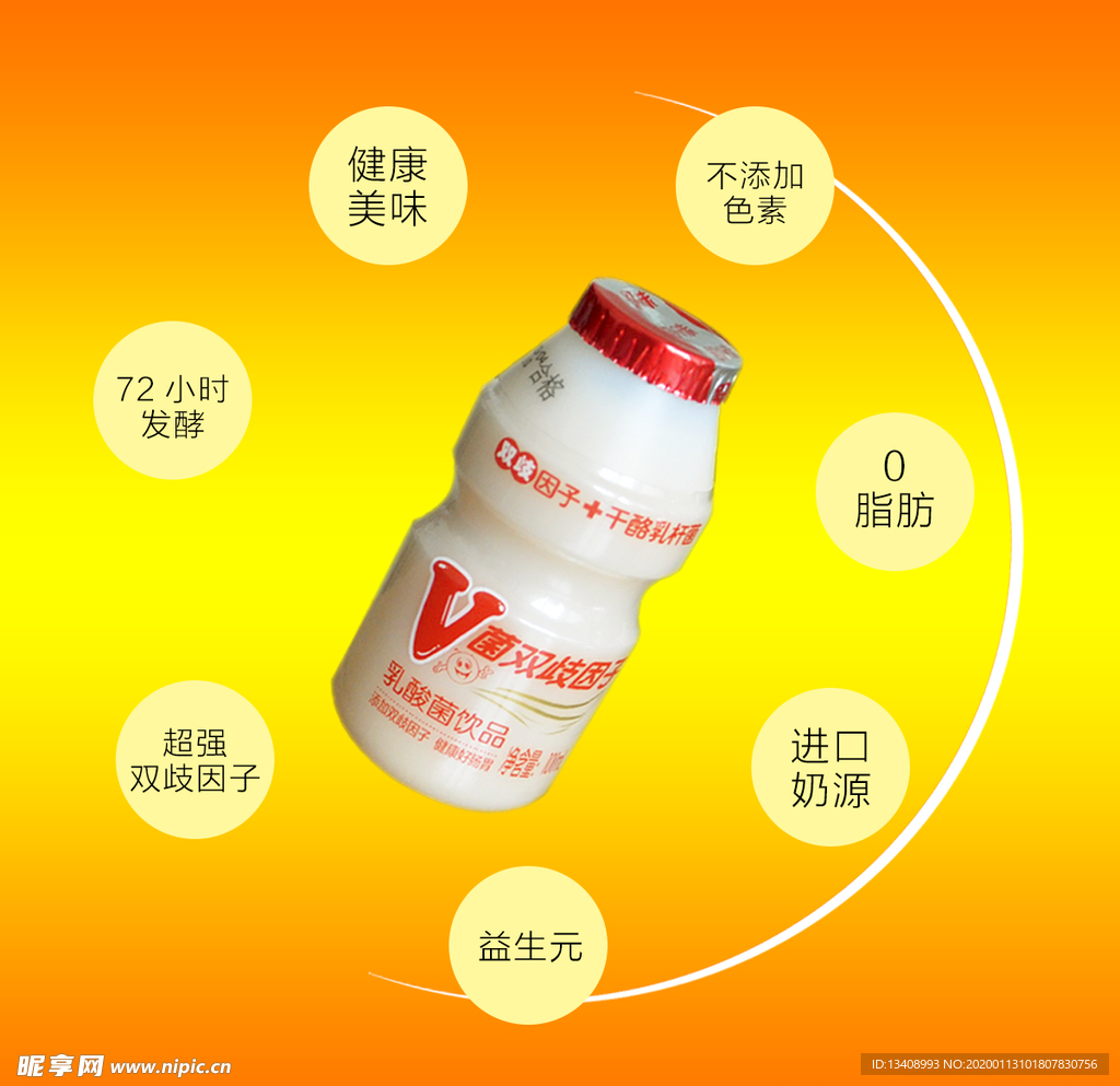 乳酸菌