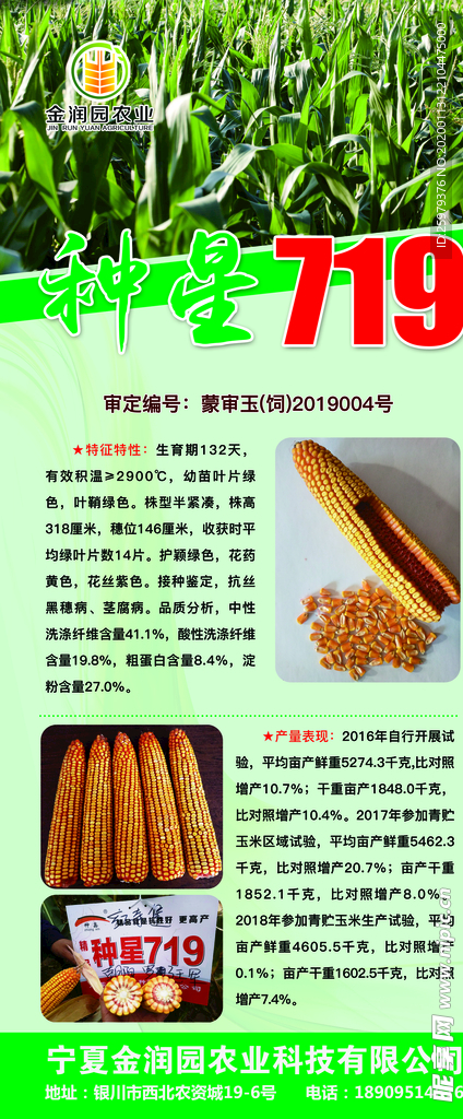 玉米品种介绍