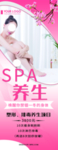 美容养生