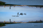 天鹅湖